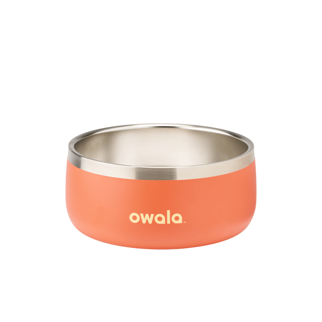 Pet Bowl 76O4