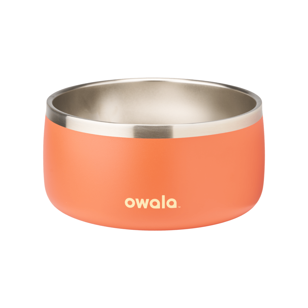 Pet Bowl 76O4