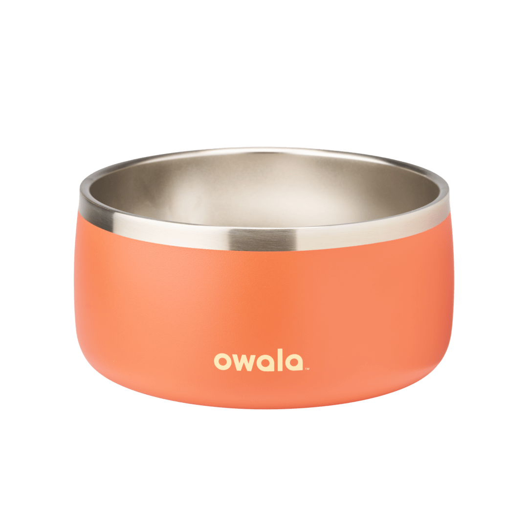 Pet Bowl 76O4