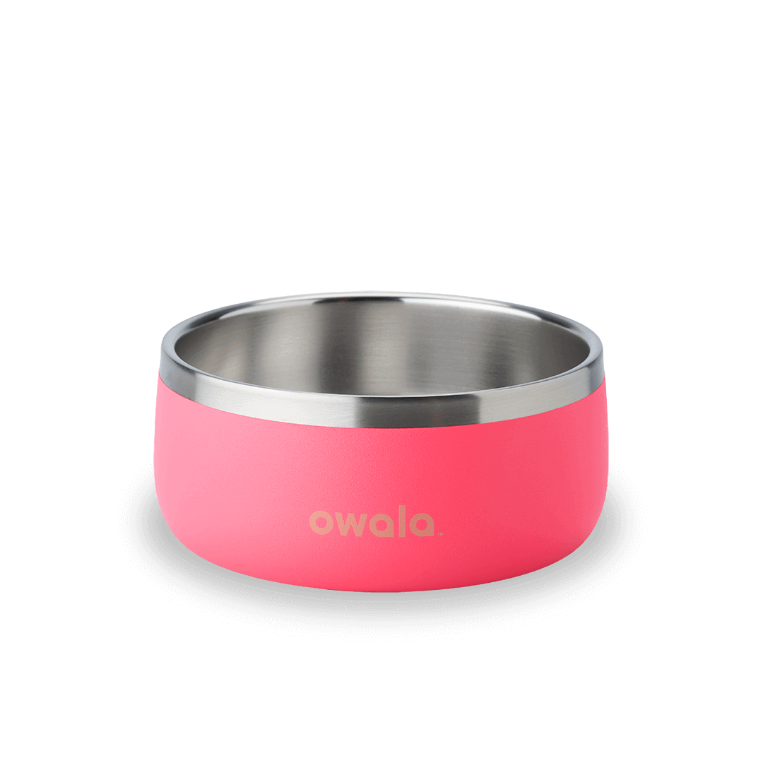 Pet Bowl 76O4