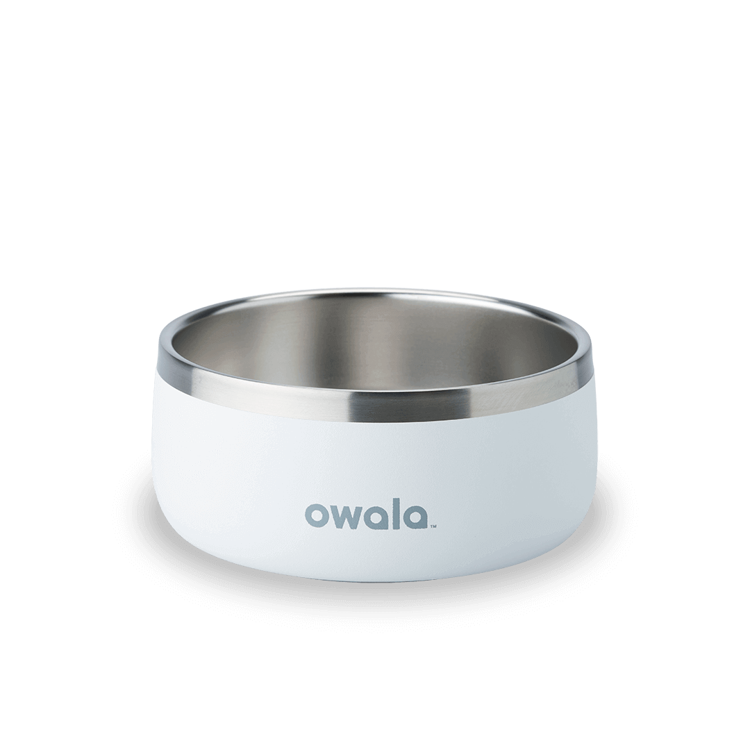 Pet Bowl 76O4