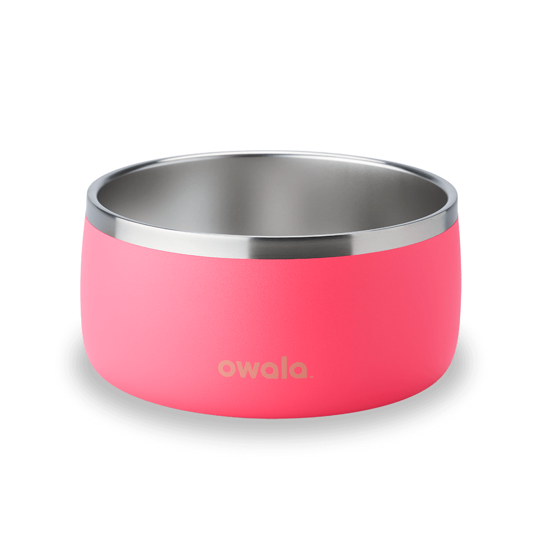 Pet Bowl 76O4